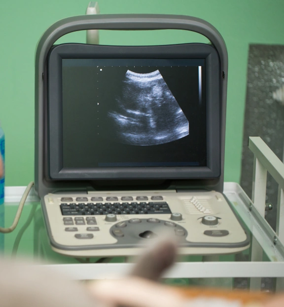 dog-ultrasounds